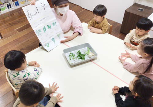 立川 保育園 ベネチアンベイビーの食育の様子